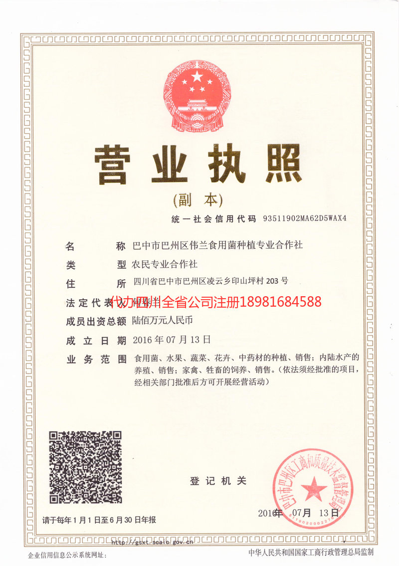 新疆新疆伟兰食用菌种植专业合作社